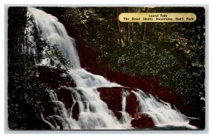 Laurel Falls Great Smoky Mountains National Park UNP Chrome Postcard N24