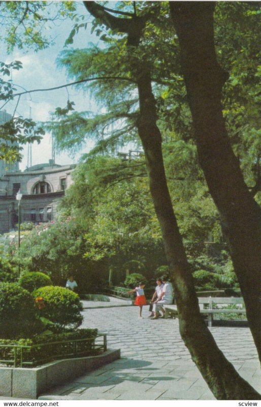 SHANGHAI , China , 1970-80s ;  Garden