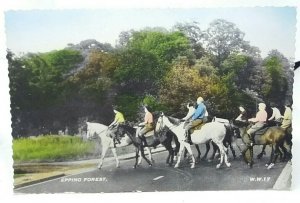 Pony Trekking Epping Forest Essex Early Colour Vintage Postcard Horse Riding