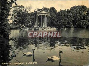 Postcard Modern Roma Villa Borghese Little Swan Lake