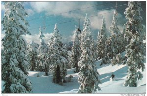 Winter Playground, Trees, Snow, Skier, Ski Lift, Mount Seymour, Brtish Columb...