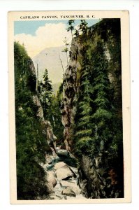 Canada - BC, North Vancouver. Capilano Canyon