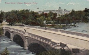 New York Niagara falls From Goat Island 1913