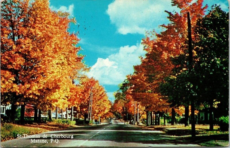 St Thomas De Cherbourg Matane PQ Fall Autumn Scene VTG Postcard UNP Unused 