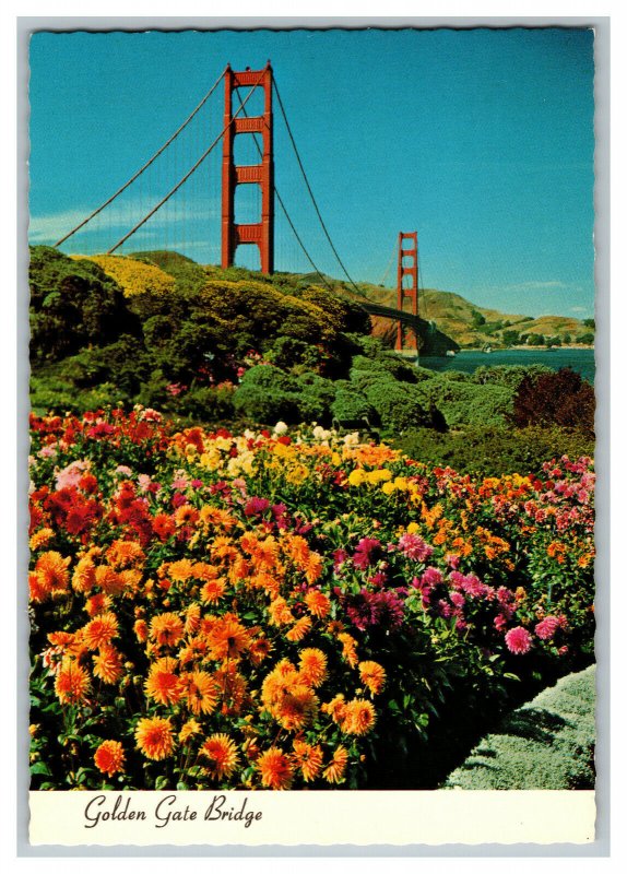 Postcard CA Golden Gate Bridge San Francisco Continental View Card Spring Flower