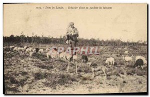 Old Postcard Folklore In Echassier Landes spinning keeping sheep