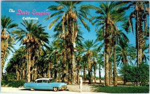 INDIO,  CA  California   DATE HARVEST   Date Palms   c1950s CADILLAC    Postcard