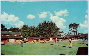 PACIFIC GROVE, CA  Roadside MILAR BUTTERFLY GROVE MOTEL Golf  1960s Postcard