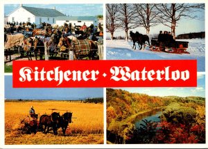 Canada Ontario Waterloo Mennonite Lifestyles Hay Making Sleigh Riding and More