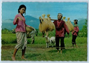 Indonesia Postcard Girls Doing Gondang Dance West Java c1950's Posted Vintage