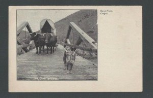 Ca 1912 PPC Burnt River Or On The Bridge W/Dog & Oxen Pulling Wagon Mint