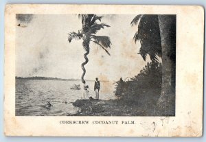 Honduras Postcard Corkscrew Cocoanut Palm and River 1911 Antique Posted