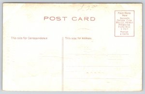 State Capitol~Golden Border & Seal Springfield Illinois~Vintage Postcard