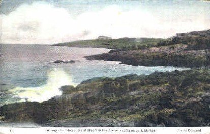 Along the Shore in Ogunquit, Maine