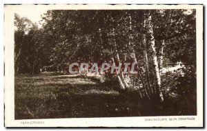 Postcard Old Franzensbad Birkengruppe Beim Stadtteich