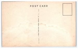 1930s/40s US Army Parachute Soldier Postcard