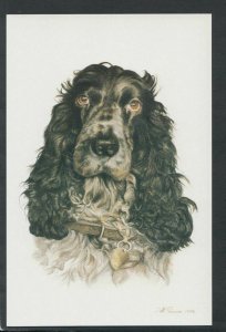 Animals Postcard - Dogs - Art, The Cocker Spaniel Dog, Harry Pearman  BX758