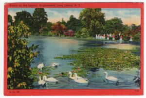 Brightwaters, Long Island, N.Y., Swans on the Lagoon