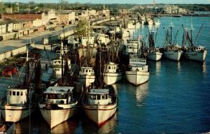Louisiana Morgan City Shrimp Boats