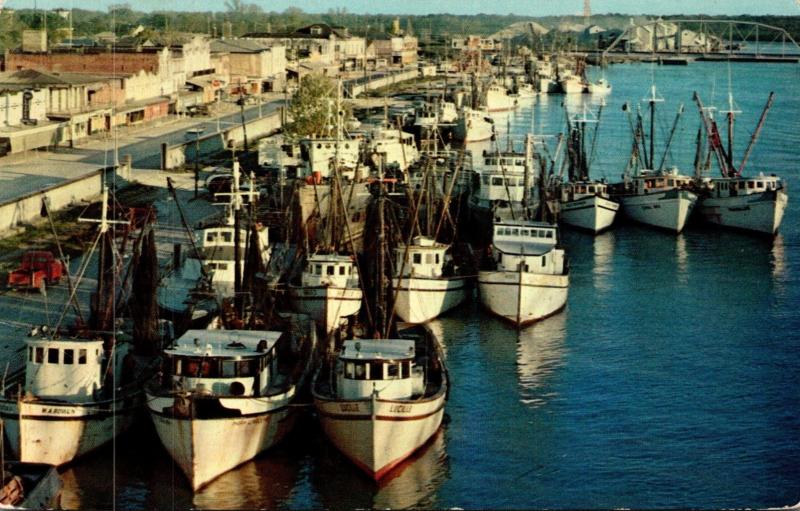 Louisiana Morgan City Shrimp Boats