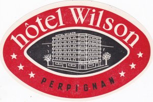 France Perpignan Hotel Wilson Vintage Luggage Label sk2956