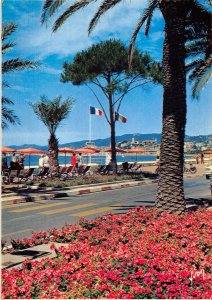B110478 France Cannes La Croisette et le Suquet Promenade Terrace