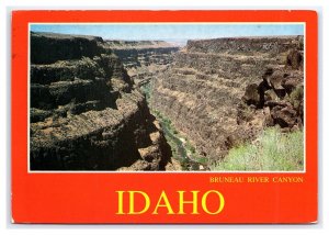 Bruneau River Canyon Idaho c1989 Postcard Continental View Postcard