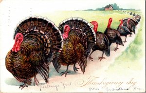 Vintage Postcard Thanksgiving Day Line of Turkeys Tuck KJ10