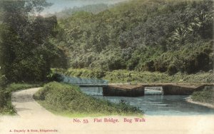 PC JAMAICA, FLAT BRIDGE, BOG WALK, Vintage Postcard (b40003)