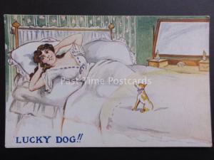 Comic Postcard Bedroom Theme LUCKY DOG Pub by C.P.C. No.535