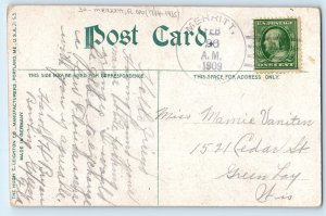 1909 A Florida Coon Animals Merritt Florida FL DPO (1844-1935) Antique Postcard
