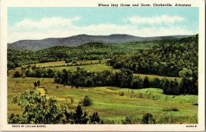 Where Livestock Graze and Grow, Valley View Clarksville AR Vtg Postcard B29