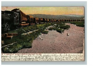 c.1909 Postcard  A Logging Train Hauling A California Big Tree To The Mill  