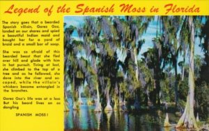 Legend Of The Spanish Moss in Florida