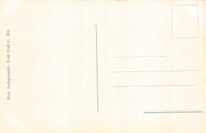 B264 Germany Palinger Heide vintage postcard