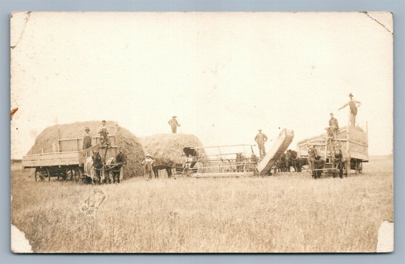 FARM SCENE HARVESTING WHEAT in KANSAS 1910 ANTIQUE REAL PHOTO POSTCARD RPPC 