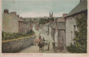 Devon Postcard - Buckland-Mon-Achorum - The Village RS23900