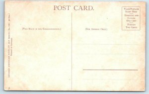 ST. BERNARD Dog Postcard ca 1910s Black Border