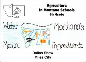 Bumper Sticker Contest Dallas Shaw 6th Miles City Agriculture Montana Postcard