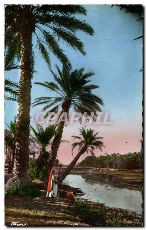 Old Postcard L & # 39Afrique North La Riviere Algeria