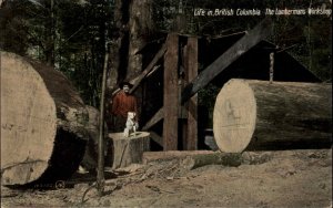 British Columbia BC Lumberjack with Dog Giant Logs Logging c1910 Postcard