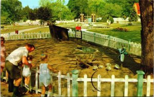 Canada Ontario London Storybrook Gardens Vintage Postcard C162