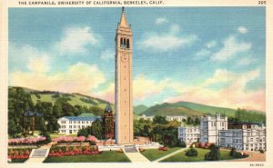 Vintage Postcard 1930's  The Campanile University of California Berkeley Calif.