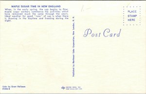 Vtg Maple Sugar Time In New England Chrome Postcard