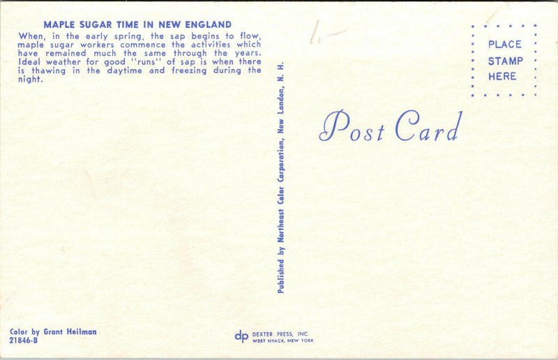 Vtg Maple Sugar Time In New England Chrome Postcard