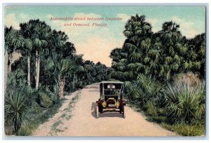 c1905's Automobile Road Between Daytona And Ormond Florida FL Unposted Postcard