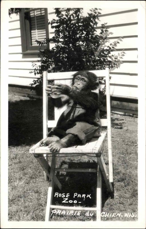 Prairie du Chien Wisconsin WI Rose park Zoo Chimpanzee Bottle Real Photo PC