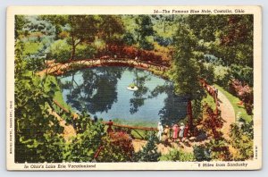 The Famous Blue Hole Spring Aerial View, Castalia Ohio Vintage Linen Postcard P1