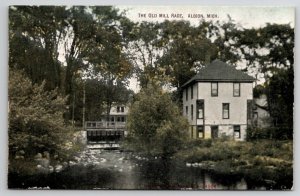 Albion MI Michigan Thevold Mill Race c1910 Postcard C31