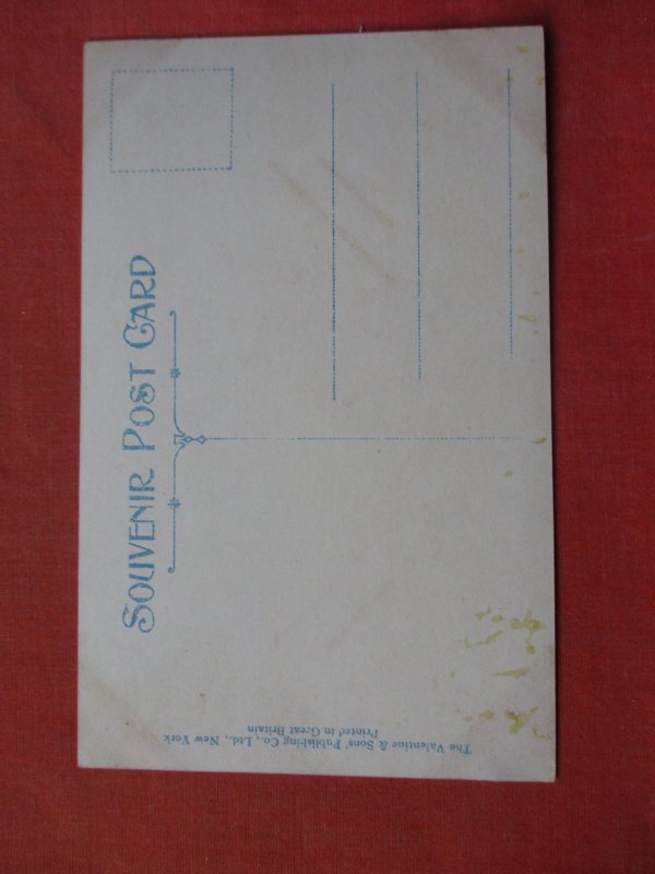 Hunting in Florida with his dogs.   H5